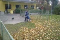 Laubtag_08