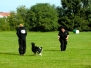 Obedience Seminar Juni 2012