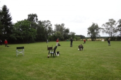 Obedience_Seminar_2012_02