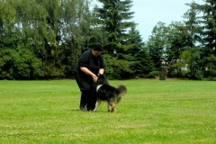Obedience_Seminar_2012_06