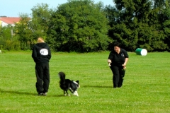 Obedience_Seminar_2012_07