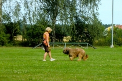 Obedience_Seminar_2012_08