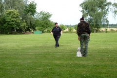 Obedience_Seminar_2012_09