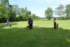 Obedience_Seminar_2012_12