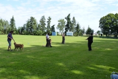 Obedience_Seminar_2012_13