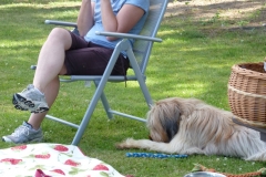 Obedience_Seminar_2012_14