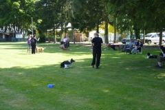 Obedience_Seminar_2012_18