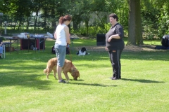 Obedience_Seminar_2012_20