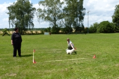 Obedience_Seminar_2012_22