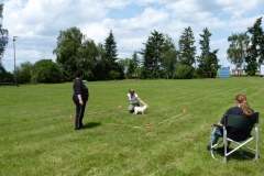 Obedience_Seminar_2012_23
