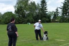 Obedience_Seminar_2012_24