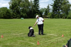 Obedience_Seminar_2012_25