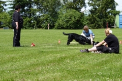 Obedience_Seminar_2012_28