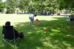 Obedience_Seminar_2012_32