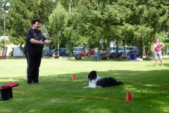 Obedience_Seminar_2012_44