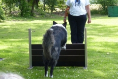Obedience_Seminar_2012_49