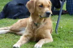 Obedience_Seminar_2012_50