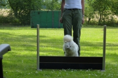 Obedience_Seminar_2012_51