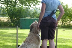 Obedience_Seminar_2012_52