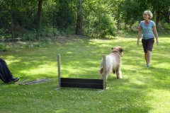 Obedience_Seminar_2012_53