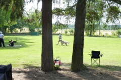 Obedience_Seminar_2012_54