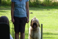 Obedience_Seminar_2012_56