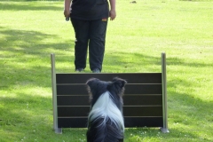 Obedience_Seminar_2012_59