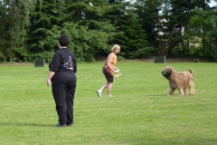 Obedience_Seminar_2012_63