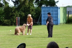 Obedience_Seminar_2012_64