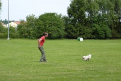 Obedience_Seminar_2012_65