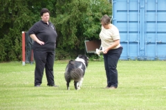 Obedience_Seminar_2012_68