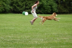 Obedience_Seminar_2012_69