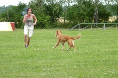Obedience_Seminar_2012_70