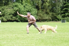 Obedience_Seminar_2012_72