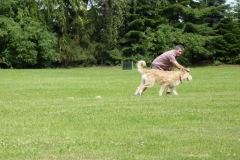 Obedience_Seminar_2012_73