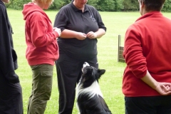 Obedience_Seminar_2012_75