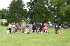 Obedience_Seminar_2012_79