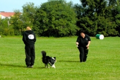 Obedience_Seminar_2012_84