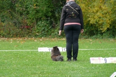 ro_2016_055
