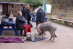 KONICA MINOLTA DIGITAL CAMERA