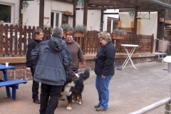 KONICA MINOLTA DIGITAL CAMERA