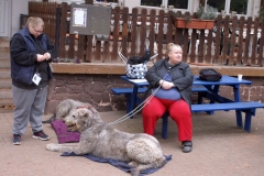 KONICA MINOLTA DIGITAL CAMERA