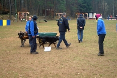 KONICA MINOLTA DIGITAL CAMERA