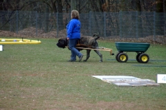 KONICA MINOLTA DIGITAL CAMERA