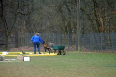 KONICA MINOLTA DIGITAL CAMERA