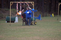 KONICA MINOLTA DIGITAL CAMERA