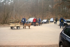 KONICA MINOLTA DIGITAL CAMERA