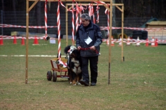 KONICA MINOLTA DIGITAL CAMERA