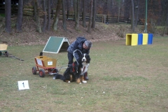 KONICA MINOLTA DIGITAL CAMERA