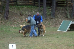 KONICA MINOLTA DIGITAL CAMERA